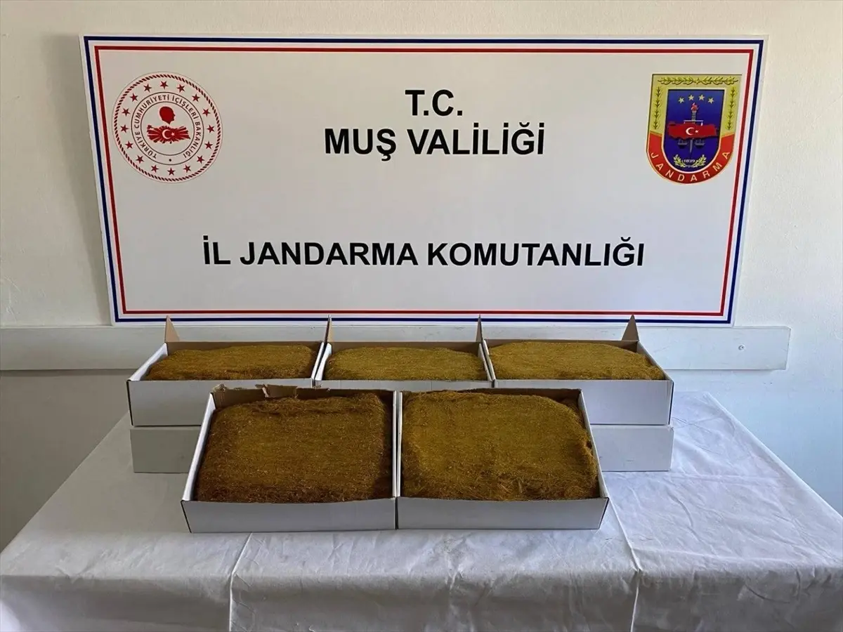 Muş’ta 199 Kişi Yakalandı, Uyuşturucu ve Tütün Ele Geçirildi